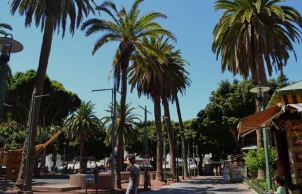 Apartment In The Center Of The Old Town. Puerto de la Cruz  Bagian luar foto